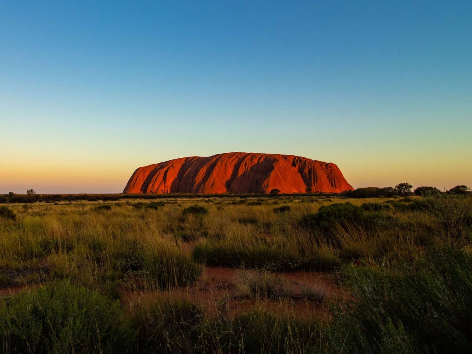 Red sandstone monolith glowing at sunset, surrounded by green desert vegetation under a clear blue sky.