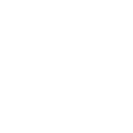 Have more than one website?